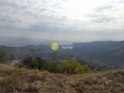 Επαγγελ. Οικόπεδο 9800τ.μ. προς πώληση φωτογραφία 14