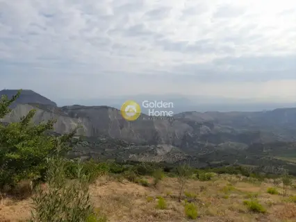 Επαγγελ. Οικόπεδο 9800τ.μ. προς πώληση φωτογραφία 16