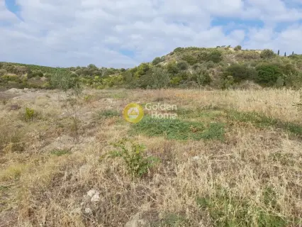 Επαγγελ. Οικόπεδο 9800τ.μ. προς πώληση φωτογραφία 21