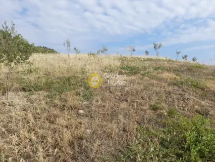 Επαγγελ. Οικόπεδο 9800τ.μ. προς πώληση φωτογραφία 22