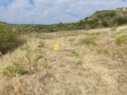 Επαγγελ. Οικόπεδο 9800τ.μ. προς πώληση φωτογραφία 23