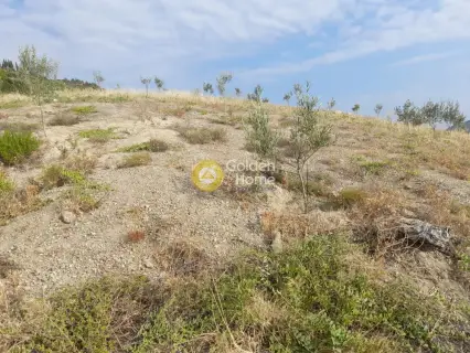 Επαγγελ. Οικόπεδο 9800τ.μ. προς πώληση φωτογραφία 24