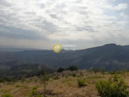 Επαγγελ. Οικόπεδο 9800τ.μ. προς πώληση φωτογραφία 6