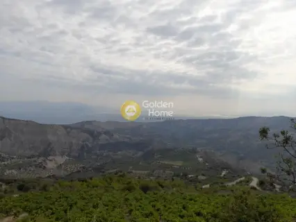Επαγγελ. Οικόπεδο 9800τ.μ. προς πώληση φωτογραφία 5