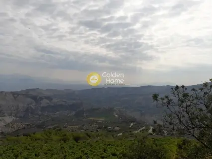 Επαγγελ. Οικόπεδο 9800τ.μ. προς πώληση φωτογραφία 3