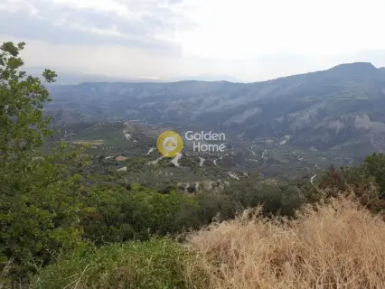 Επαγγελ. Οικόπεδο 9800τ.μ. προς πώληση φωτογραφία 9