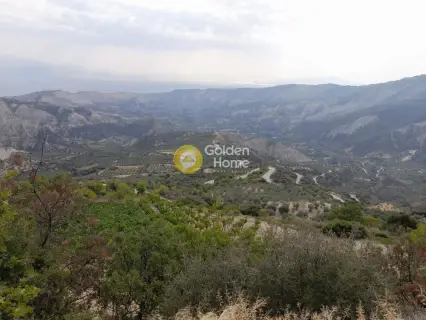 Επαγγελ. Οικόπεδο 9800τ.μ. προς πώληση φωτογραφία 11