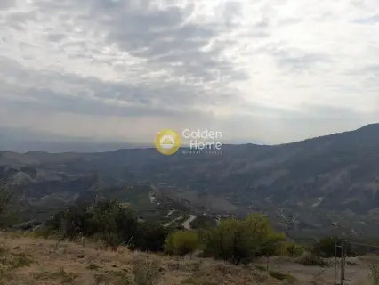 Επαγγελ. Οικόπεδο 9800τ.μ. προς πώληση φωτογραφία 8