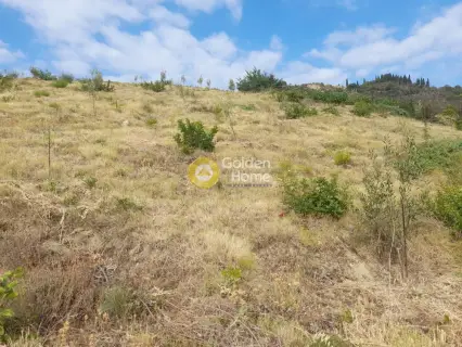 Επαγγελ. Οικόπεδο 9800τ.μ. προς πώληση φωτογραφία 27
