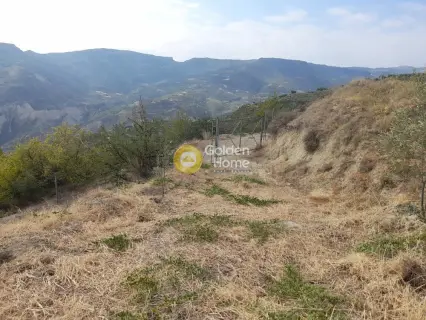 Επαγγελ. Οικόπεδο 9800τ.μ. προς πώληση φωτογραφία 2725535