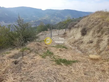 Επαγγελ. Οικόπεδο 9800τ.μ. προς πώληση φωτογραφία 2725537