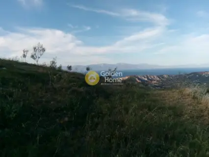 Επαγγελ. Οικόπεδο 9800τ.μ. προς πώληση φωτογραφία 1