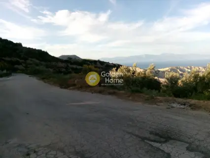 Επαγγελ. Οικόπεδο 9800τ.μ. προς πώληση φωτογραφία 2