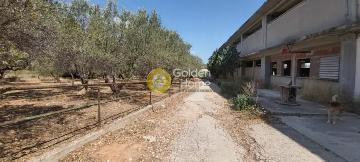 Αυτόνομο Κτίριο 7300τ.μ. προς πώληση φωτογραφία 11