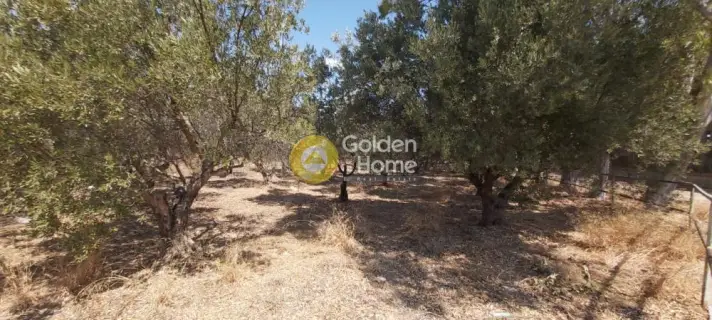 Αυτόνομο Κτίριο 7300τ.μ. προς πώληση φωτογραφία 22