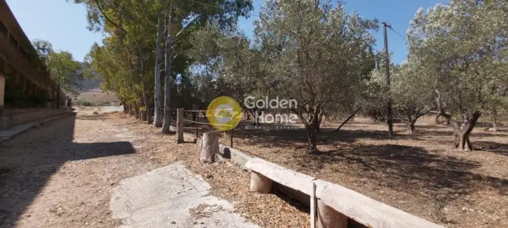 Αυτόνομο Κτίριο 7300τ.μ. προς πώληση φωτογραφία 21