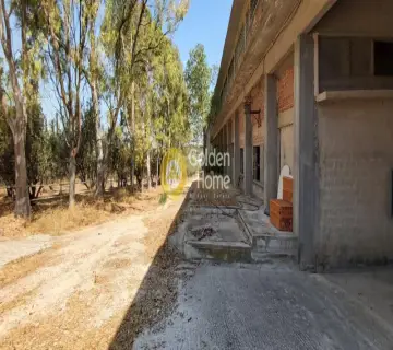 Independent Building 7500m<sup>2</sup> for rent photo 2726597