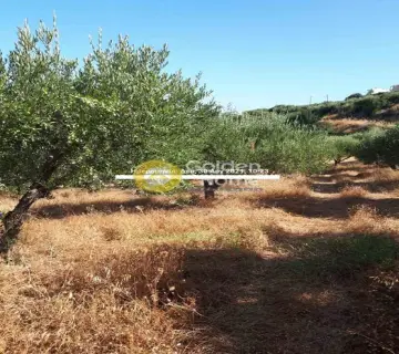 Residential 1580m<sup>2</sup> for sale photo 2792273