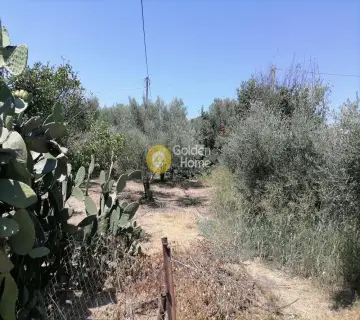 Residential 2850m<sup>2</sup> for sale photo 2732191
