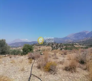 Residential 5000m<sup>2</sup> for sale photo 10
