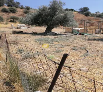 Residential 2500m<sup>2</sup> for sale photo 4