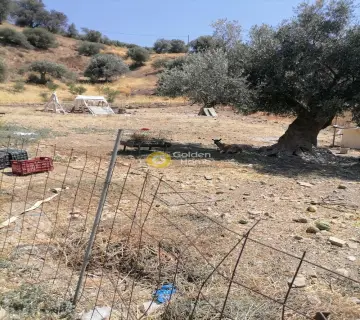 Residential 2500m<sup>2</sup> for sale photo 6