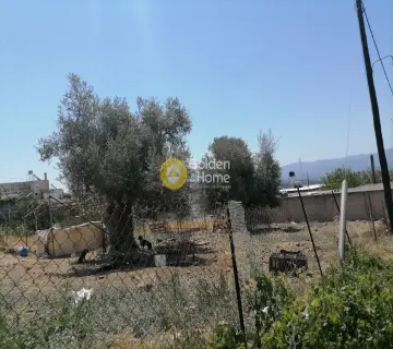 Residential 2500m<sup>2</sup> for sale photo 12