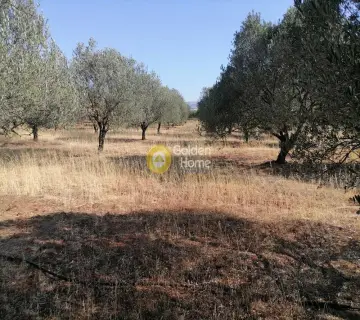 Residential 8500m<sup>2</sup> for sale photo 1