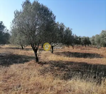 Residential 8500m<sup>2</sup> for sale photo 2
