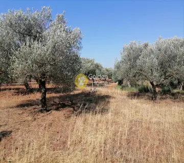 Residential 8500m<sup>2</sup> for sale photo 3