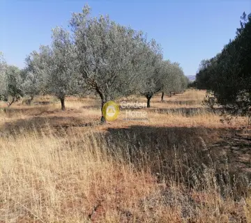 Residential 8500m<sup>2</sup> for sale photo 5