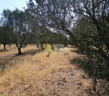 Residential 8500m<sup>2</sup> for sale photo 6