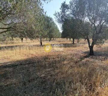 Residential 8500m<sup>2</sup> for sale photo 10
