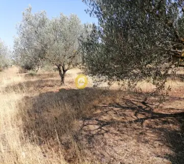 Residential 8500m<sup>2</sup> for sale photo 11