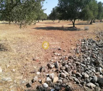 Residential 11000m<sup>2</sup> for sale photo 2755360