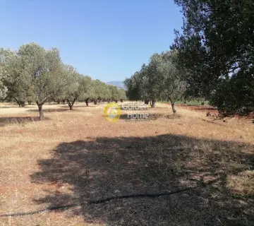 Residential 11000m<sup>2</sup> for sale photo 2755447