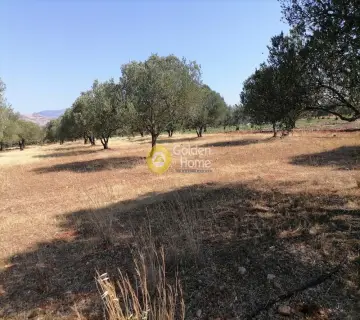 Residential 11000m<sup>2</sup> for sale photo 2755448