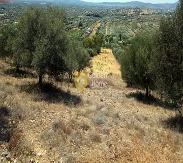 Parcel 10000m<sup>2</sup> for sale photo 2