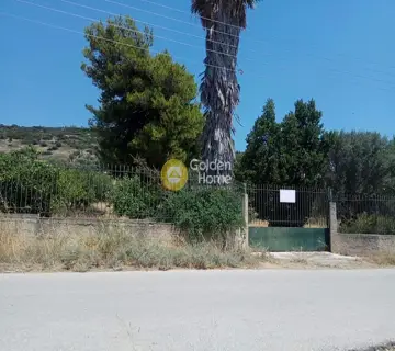 Parcel 10000m<sup>2</sup> for sale photo 1