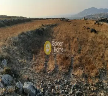 Αγροτεμάχιο 10000τ.μ. προς πώληση φωτογραφία 2734635