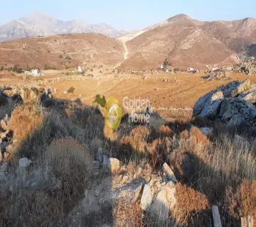 Αγροτεμάχιο 10000τ.μ. προς πώληση φωτογραφία 2734638
