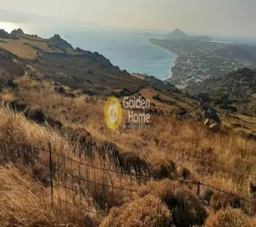 Αγροτεμάχιο 2000τ.μ. προς πώληση φωτογραφία 2734641