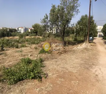 Golden Home Property Image