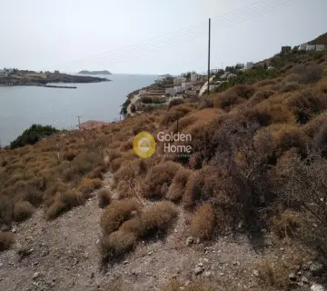 Area 8000m<sup>2</sup> for sale photo 1