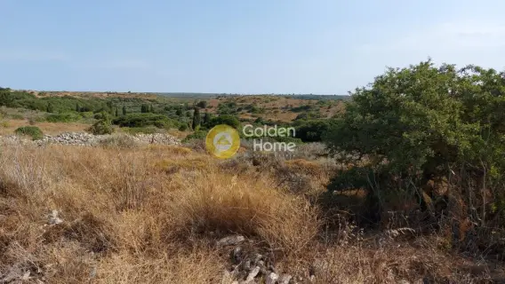 Οικιστικό 1456τ.μ. προς πώληση φωτογραφία 2737042