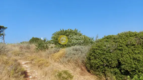 Οικιστικό 1456τ.μ. προς πώληση φωτογραφία 2737043