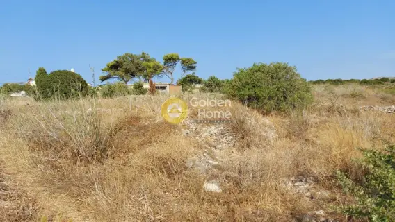 Οικιστικό 1456τ.μ. προς πώληση φωτογραφία 2737044