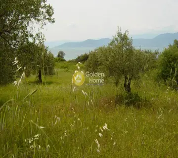 Professional Plot 20000m<sup>2</sup> for sale photo 2