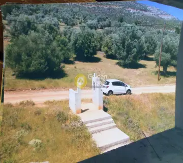Μονοκατοικία 200τ.μ. προς πώληση φωτογραφία 10