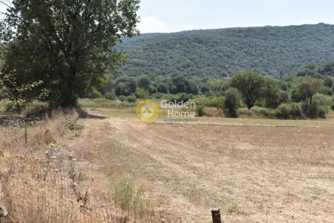Professional Plot 8810m<sup>2</sup> for sale photo 4